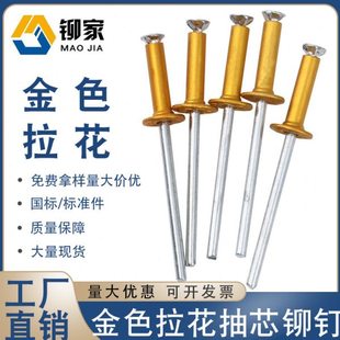 喜仕隆铆家金色拉花抽芯铆钉 拉花钉 酒盒铆钉拉钉铝拉钉烤漆金色