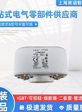 快速熔断器熔芯全新原装170M7510 170M7511 170M7512 170M7976