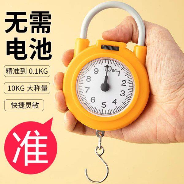 弹簧秤高精度手提称便捷式家用随身带小勾称小型手提多功能电子称