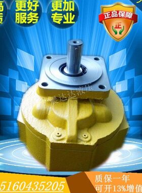 四川长江CBG3125/3140/3160/3180齿轮油泵3100-B1R-B2R-B1L-B2L