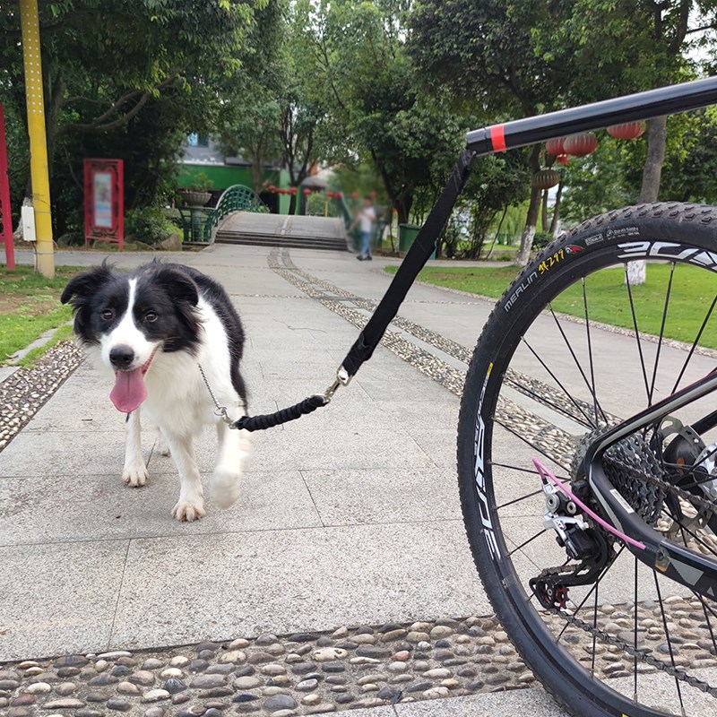自行车遛狗器骑车牵引狗绳骑车溜狗户外遛狗弹力缓冲牵狗器狗绳