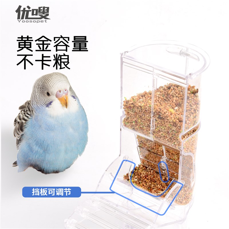 鹦鹉鸟用自动饮水器自动喂食器玄凤鸟喝水撞针水壶大号防漏水下料