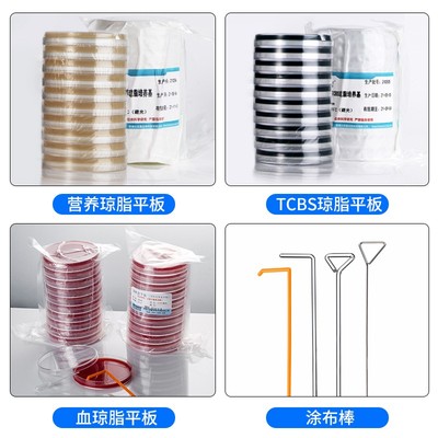一次性接种环 微生物接种针无菌接种环接种棒 细菌接种比克曼生物