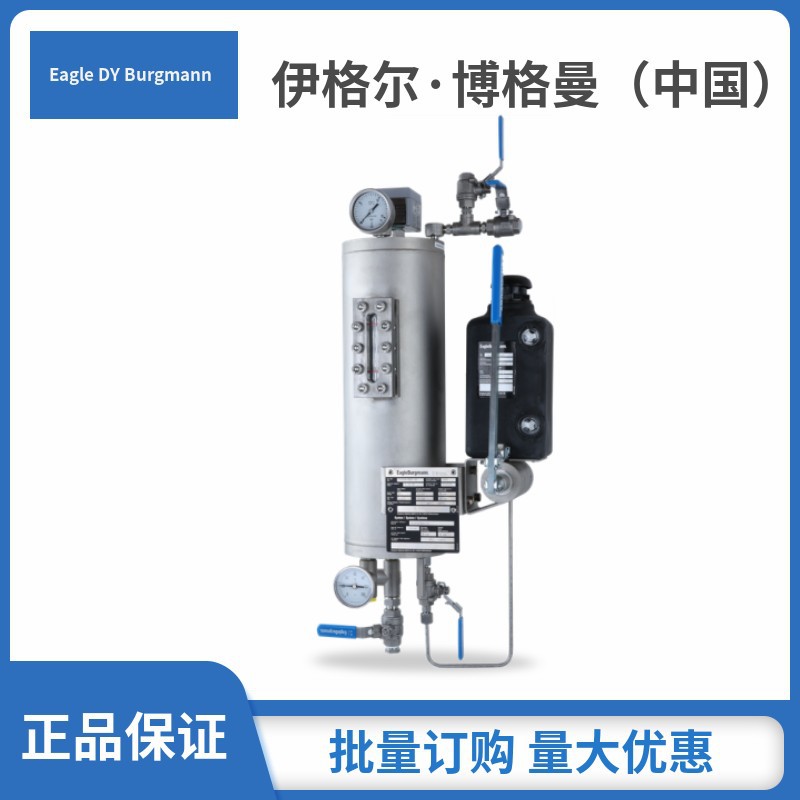 EagleBurgmann系统上海博格曼配用热虹吸系统TS1000