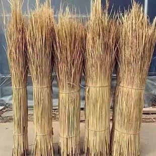 稻草专用农家乐草编织柔软保暖装饰瓦房谷草霉豆腐天然新鲜干稻草