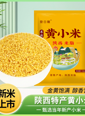 陕西黄小米当季新鲜颗粒饱满黄小米煮早餐粥杂粮粥黄小米粥