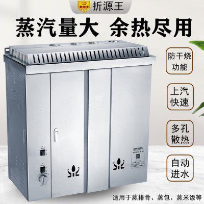折源王燃气蒸汽发生器商用食堂蒸饭馒头蒸汽炉不锈钢节能电热蒸炉