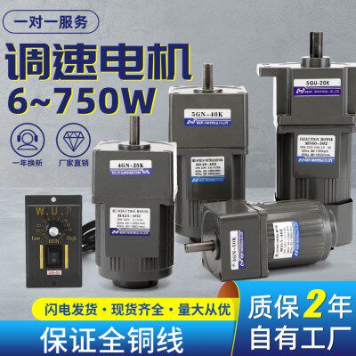 伟普调速电机6-400w可调无极变速 微型小型齿轮减速电机交流220v