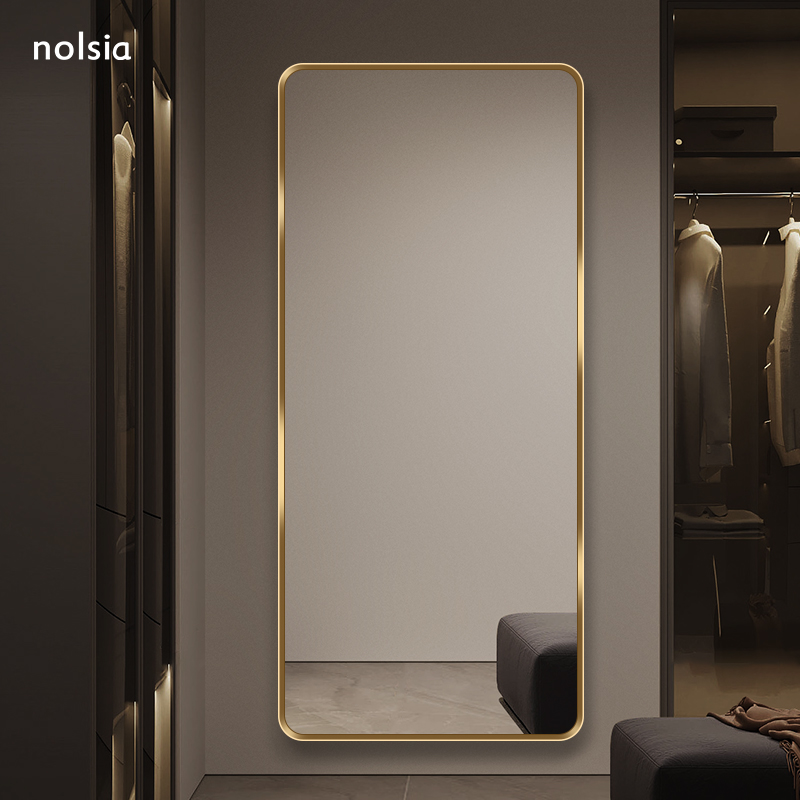 家用门后高级设计感全身镜奶油风网红客厅穿衣镜卧室试衣镜子挂墙