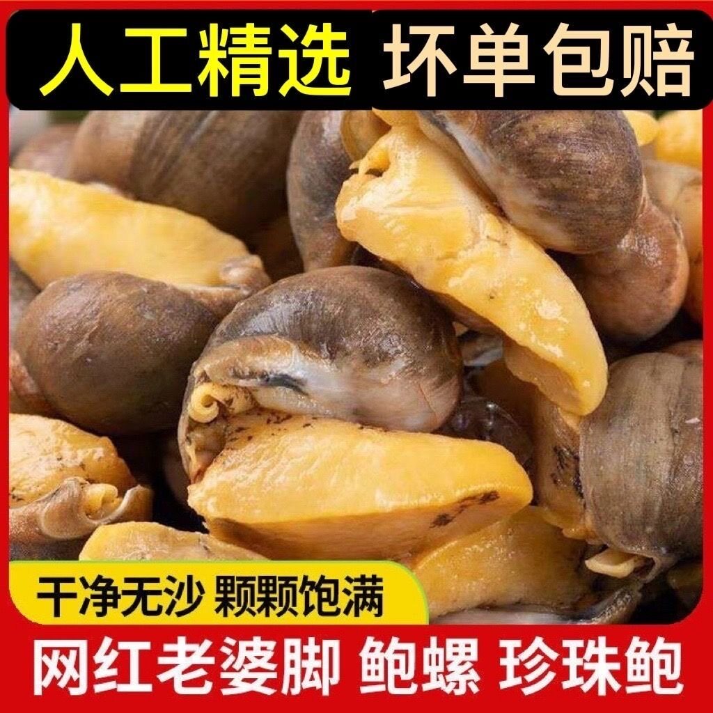 新鲜黄金鲍鱼螺带膏老婆脚珍珠鲍牛鼻子海蜗牛鲜活速冻海鲜