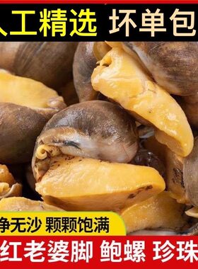 新鲜黄金鲍鱼螺带膏老婆脚珍珠鲍