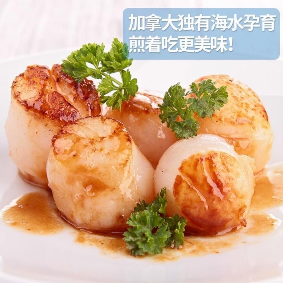非合成带子贝柱带子瑶柱鲜贝瑶柱刺身超瑶大贝柱日料半成品