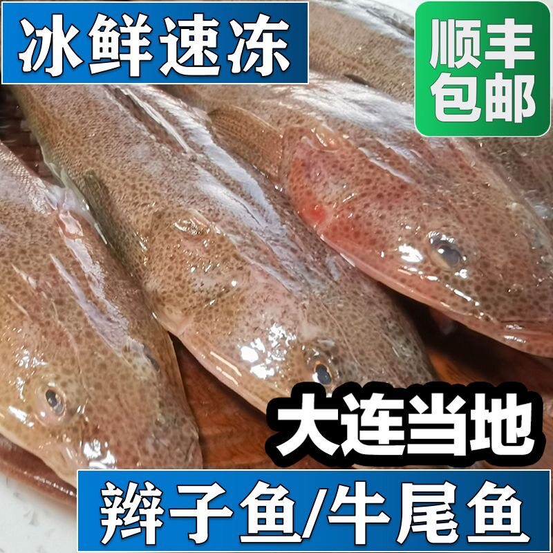 辫子鱼小辫鱼牛尾鱼箭头子鱼竹甲牛尾鱼百甲鱼拐子老头鱼牛尾巴