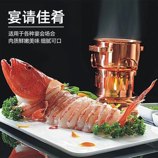 东山岛特大东星斑鱼鲜活冷冻冰鲜深海石斑鱼红石斑鱼