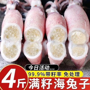 新鲜带籽籽乌带籽海兔子带籽乌鱼东山小管大海兔笔管鱼鱿鱼籽