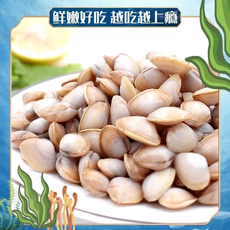 鲜活海瓜子鲜活海鲜新鲜无沙海瓜子白瓜子小蛤蜊新鲜海鲜贝类水产