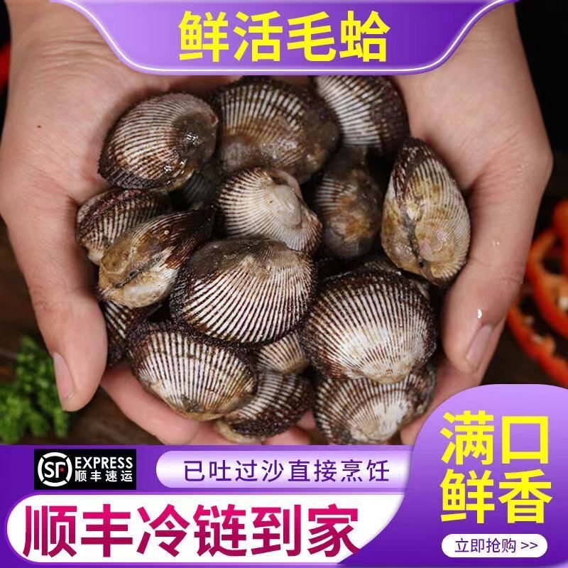 【鲜活毛蚶】新鲜毛蛤蜊2-4斤装 北方冷水毛蚶 带泥发货海鲜顺丰
