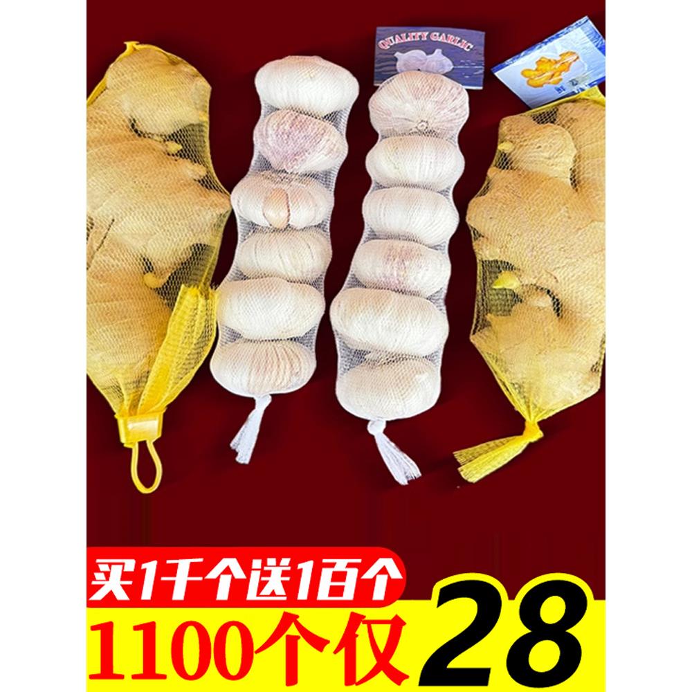 大蒜网兜生姜网袋带标签装蒜的塑料包装袋包邮超市尼龙小网袋