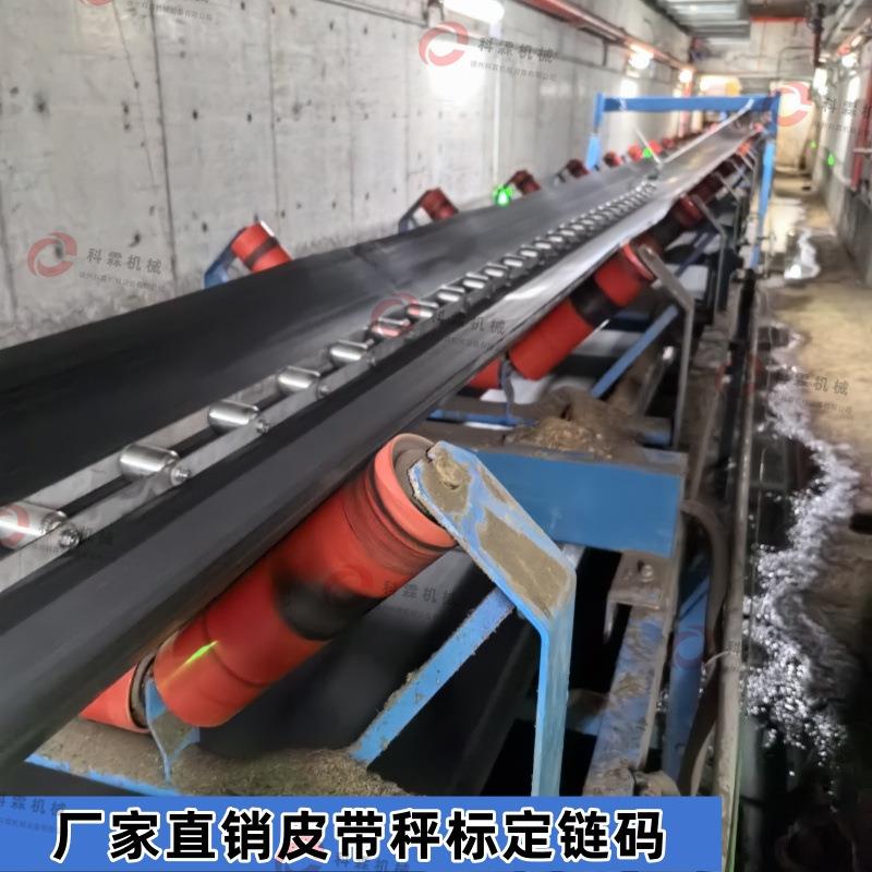 电子皮带秤链码藏箱链码卷扬链码皮带秤效验装置自动链码循环链码