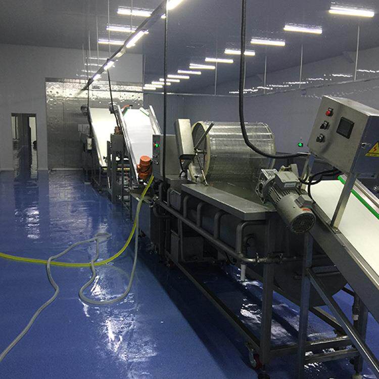 豆芽涡流洗菜机厂家速冻蔬菜清洗加工成套设备莴苣清洗生产厂家