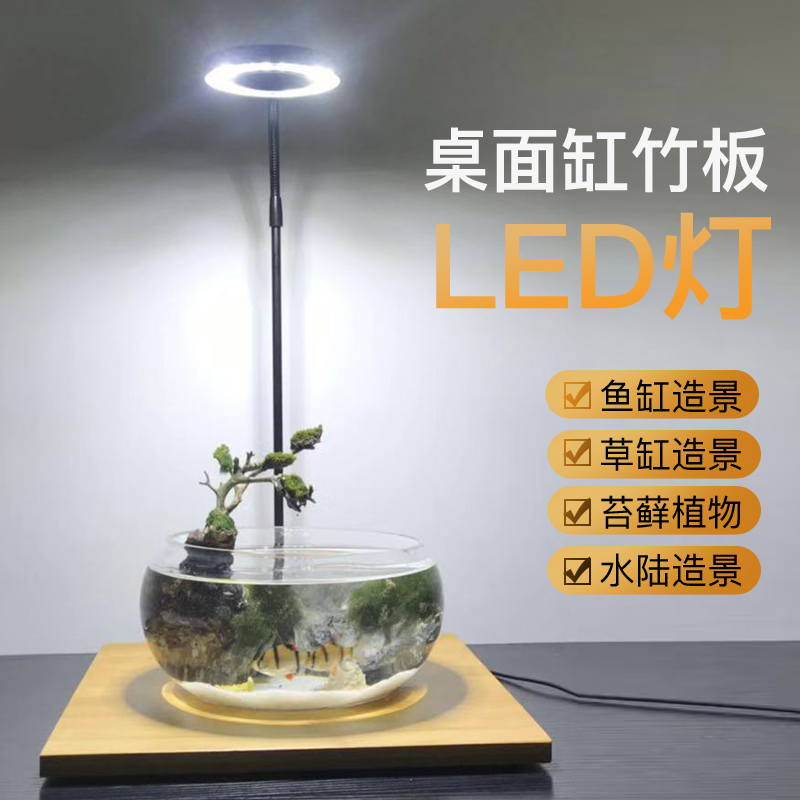 LED植物实木灯小鱼缸微景观补光灯桌面鱼缸灯多肉植物灯水草灯