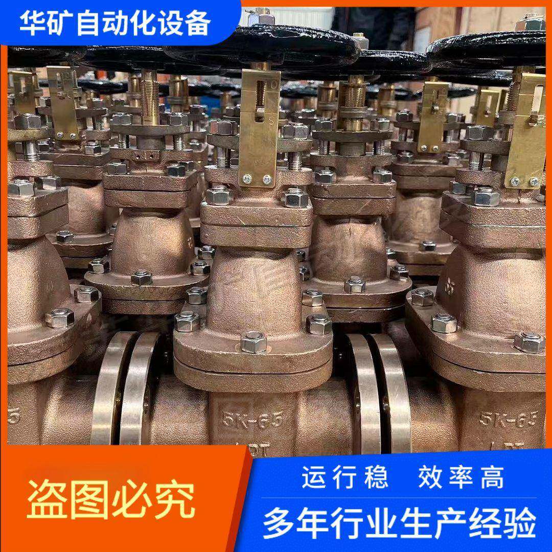 Z941H-10TDN50全铜电动闸阀法兰明杆硬密封管路截断阀