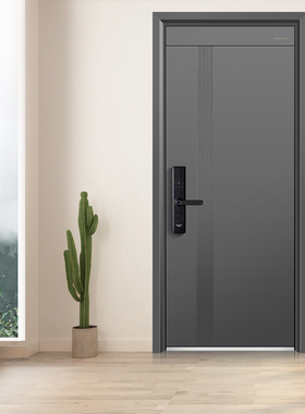 WL王力防盗门家用入户门进户门定制农村自建房大门子母门P601