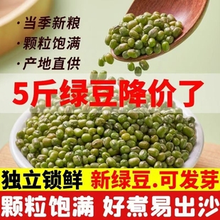 2025东北新绿豆发豆芽独立包装 专用大颗粒绿豆粥冰沙农家自种优质