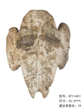 树脂仿真化石甲骨文龟壳摆件 咖啡厅酒吧壁挂墙面软装饰教学道具