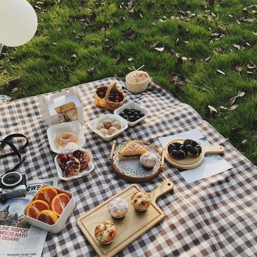 防潮垫户外露营加大n外出草地铺地垫子旅游郊游野餐布帐篷加厚便