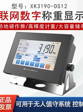 上海XK3190-DS12数字物联网称重显示器地磅汽车衡仪表防作弊