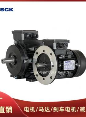徳国BUSCK电机马达三相异步交流电动机