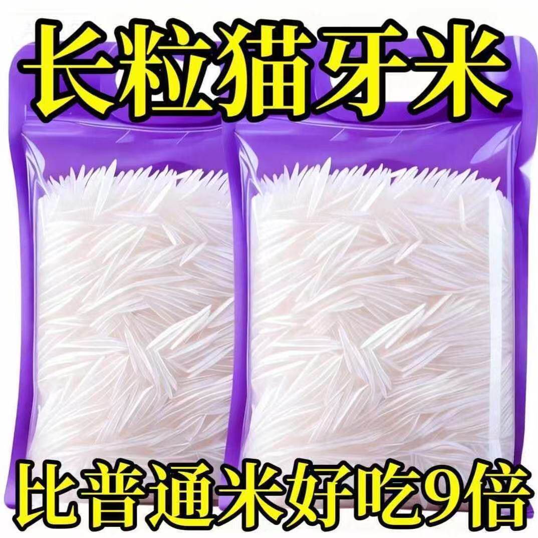 新货特价】新米猫牙米长粒香米正宗农家细长米猫牙优质大米香米