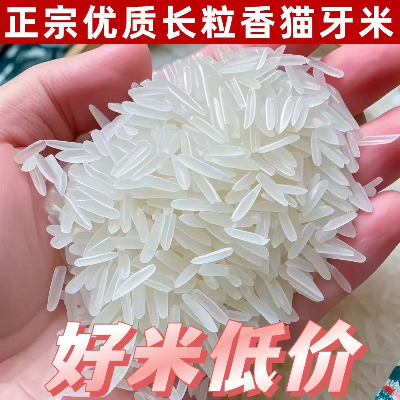 【净重】猫牙香米10斤现磨直发农家长粒香米10斤丝苗米煲仔饭膳补