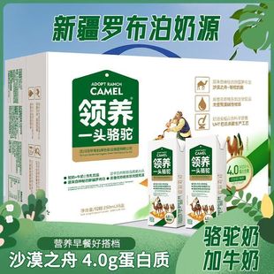 新款4.0g蛋白质骆驼奶罗布泊奶源250ml*6盒礼盒装学生早餐奶盒装
