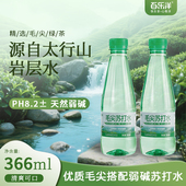 正宗信阳毛尖苏打水茶味苏打弱碱清爽解腻夏季 饮品366ml整箱12瓶