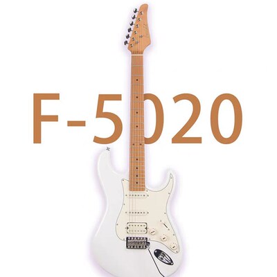 法丽达   单单新手入门摇滚电吉他