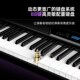特伦斯电钢琴键盘便携式 初学者幼师电子