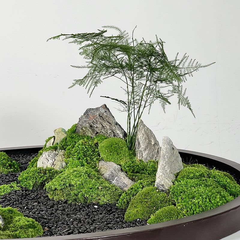 新餐桌苔藓造景酒店大圆桌装饰永生绿植艺枯山水桌面,家居饰品,仿真植物盆景,淘宝优惠券,粉丝福利购,淘宝优惠卷