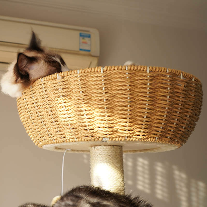 双层云梯藤编猫爬架猫窝猫树一体不占地立式大型麻藤实木猫架夏季