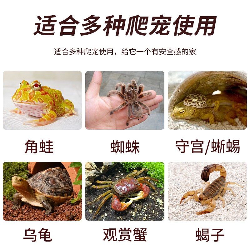 寄居蟹小螃蟹相手蟹角蛙躲避屋生活用品乌龟爬宠守宫造景小别墅窝,宠物/宠物食品及用品,爬宠缸/箱,淘宝优惠券,粉丝福利购,淘宝优惠卷