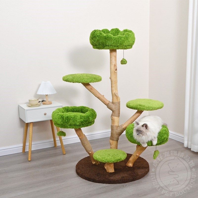 凯瑞郁郁葱葱猫爬架猫抓柱猫树猫屋猫窝猫跳台磨爪攀爬宠物用品