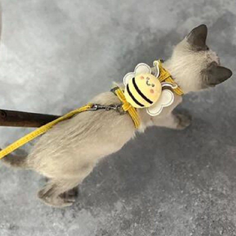 猫咪牵引绳防挣脱外出专用可爱蜜蜂遛猫神器背心式德文缅因宠物栓,宠物/宠物食品及用品,猫牵引绳,淘宝优惠券,粉丝福利购,淘宝优惠卷