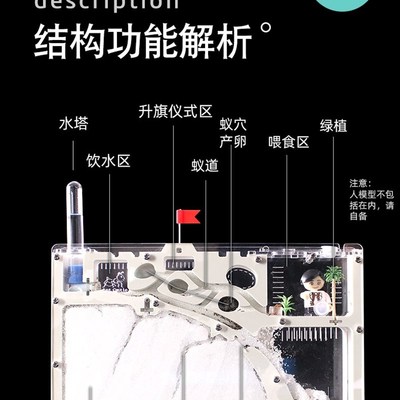 蚂蚁城堡蚂蚁生态箱蚂蚁窝城堡蚂蚁巢穴送蚁后学生观察繁殖免安装