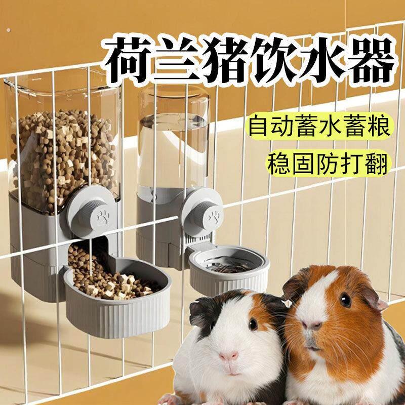荷兰猪饮水器专用自动喝水豚鼠水碗喂食器大容量饮水机喂水器