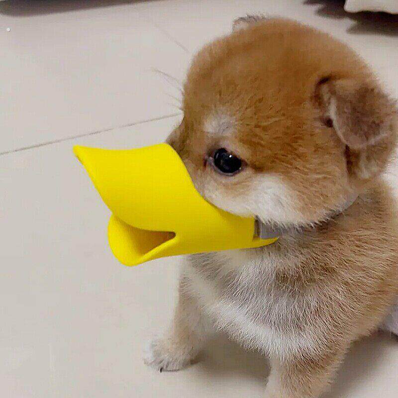【不乱吃】狗狗鸭嘴套防误食防乱吠叫止吠器中小型犬柴犬透气可调