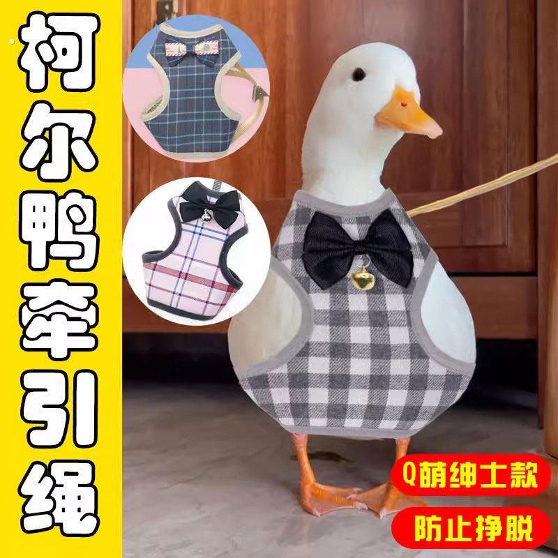 柯尔鸭小鸭子的牵引绳溜宠物鹅绳子遛绳小鸡外出神器遛鸭绳遛鸡绳