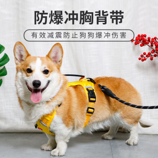 防爆冲项圈 宠物胸背带柯基泰迪遛狗绳子狗狗牵引绳中小型犬背心式