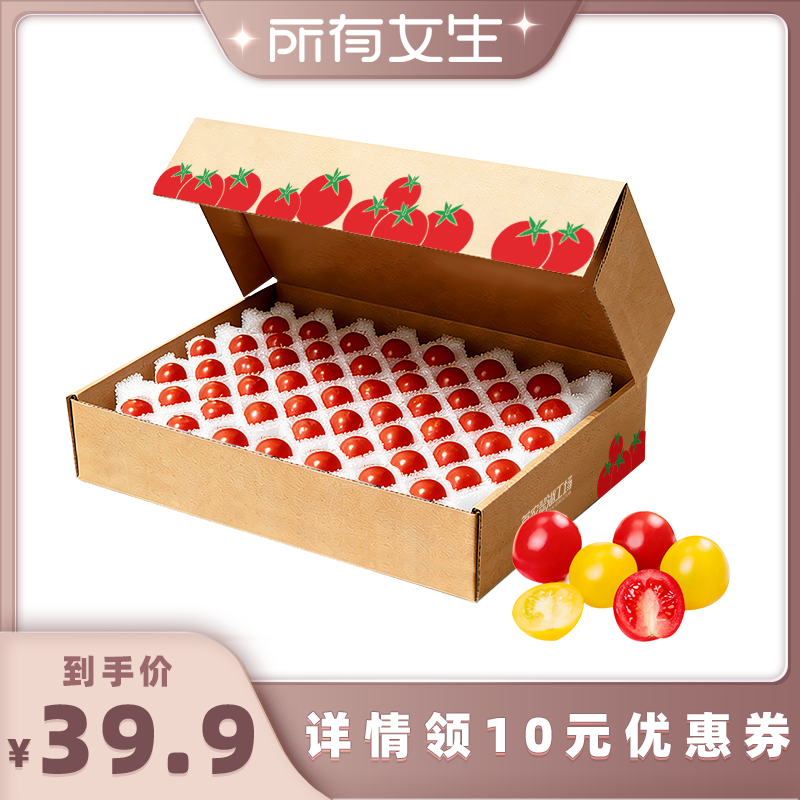 【所有女生直播间】知翠樱桃小番茄小西红柿新鲜水果自然熟小柿子