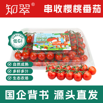 【知翠】串收樱桃小番茄应季新鲜水果孕妇生吃小西红柿脆甜小柿子